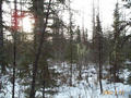 #3: Looking south.