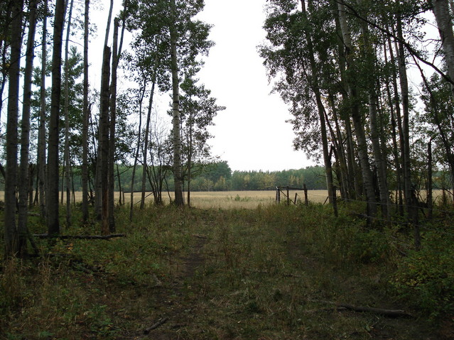 The farm field view