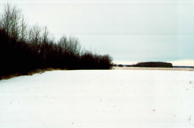 Looking north from the confluence.