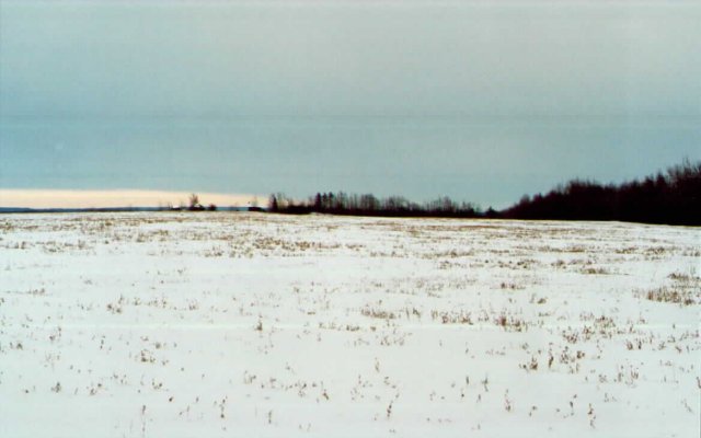 Looking east from the confluence.