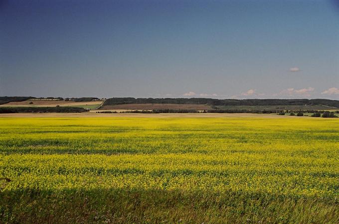 View from Rolla Road