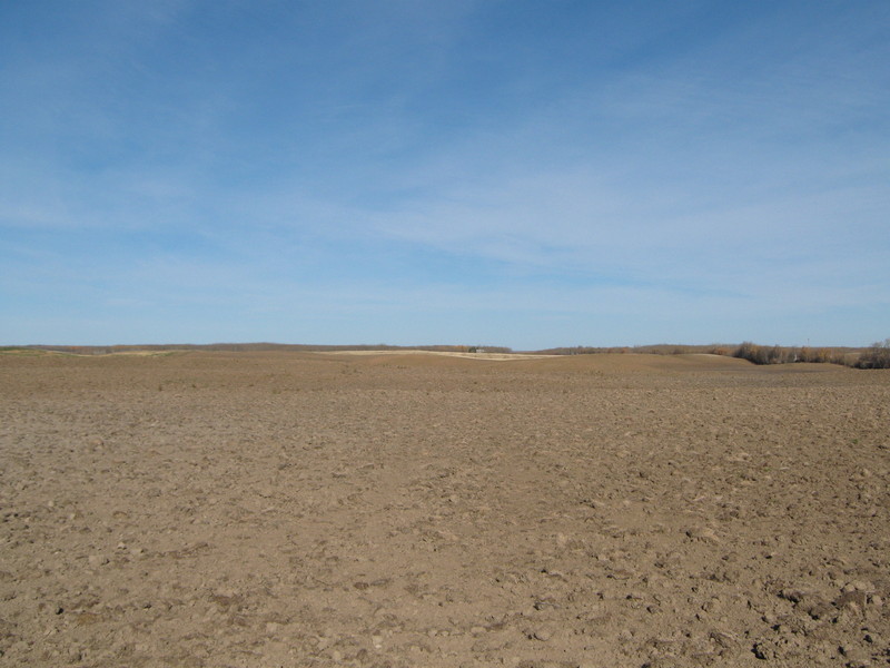 Northerly view from the confluence