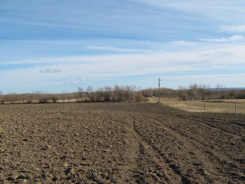 Easterly view from the confluence