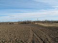 #3: Easterly view from the confluence