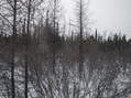 #3: Looking South