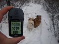 #5: GPS along with Belle & Maggie enjoying their walk.