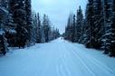 #4: Looking west