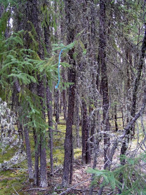 String indicates location of confluence (facing east northeast).