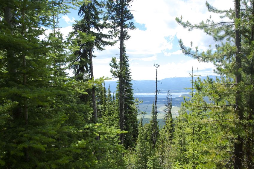 View West (down the steep hillside)