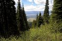 #8: Looking westward along the US-Canada border at [48.99983,-115.00000] - 20 meters south of the degree confluence point