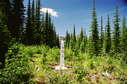 #8: Boundary monument 195 facing West