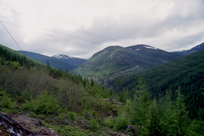 View up the ravine