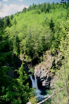 #1: Waterfall on Haslam Creek
