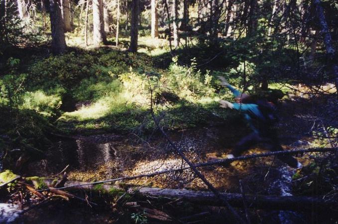 Stream Crossing in the Bush