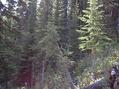 #10: South View