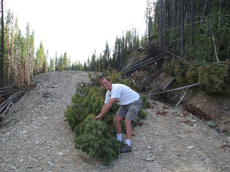 Chris attempting to move a fallen tree off the road.