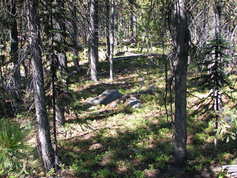 The confluence is located in the centre of this photo, at the rock.