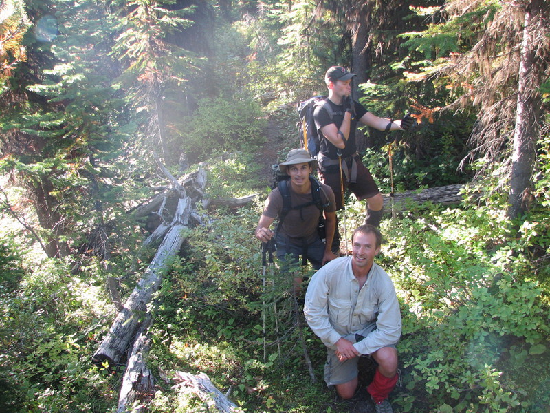 The "highway", the mysterious chainsawed trail.