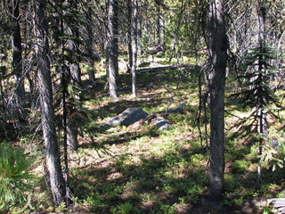 #1: The confluence is located in the centre of this photo, at the rock.