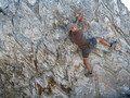 #5: Seth bouldering on the ridge.