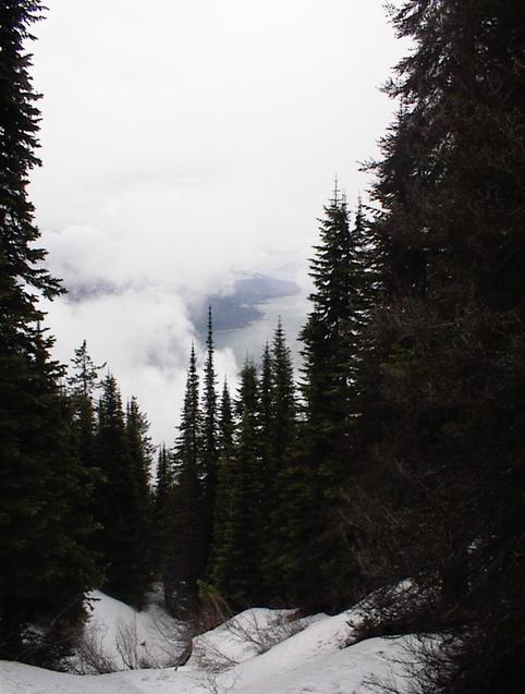 Looking down to Lower Arrow Lake (100 m. from confluence)