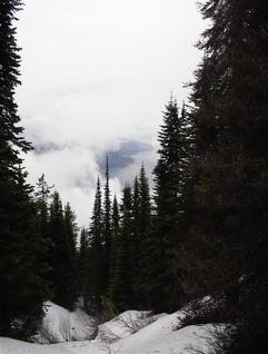 #1: Looking down to Lower Arrow Lake (100 m. from confluence)