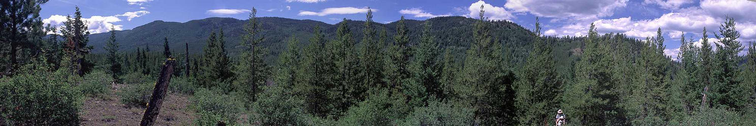 Panoramic view from hilltop near confluence