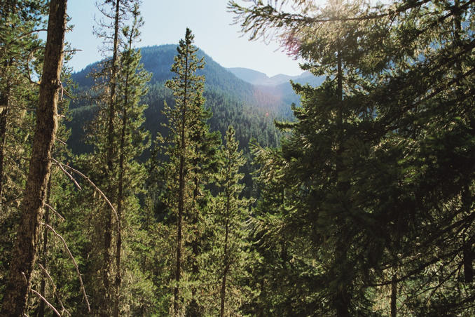 Valley above Mehatl Creek