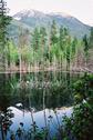 #5: Pond blocking access road on return journey