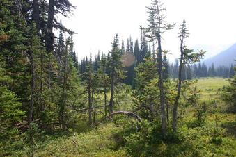 #1: Looking SW from the confluence towards The Black Tusk