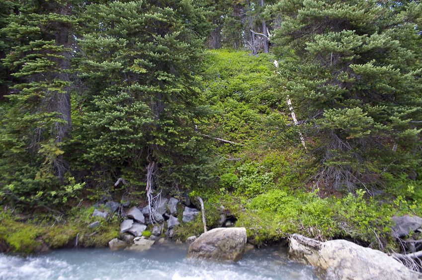 The confluence point lies 57 m away - just beyond the bank on the other side of Helm Creek. (This is also a view to the West.)