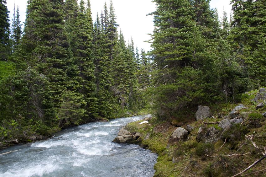 View North (along Helm Creek)