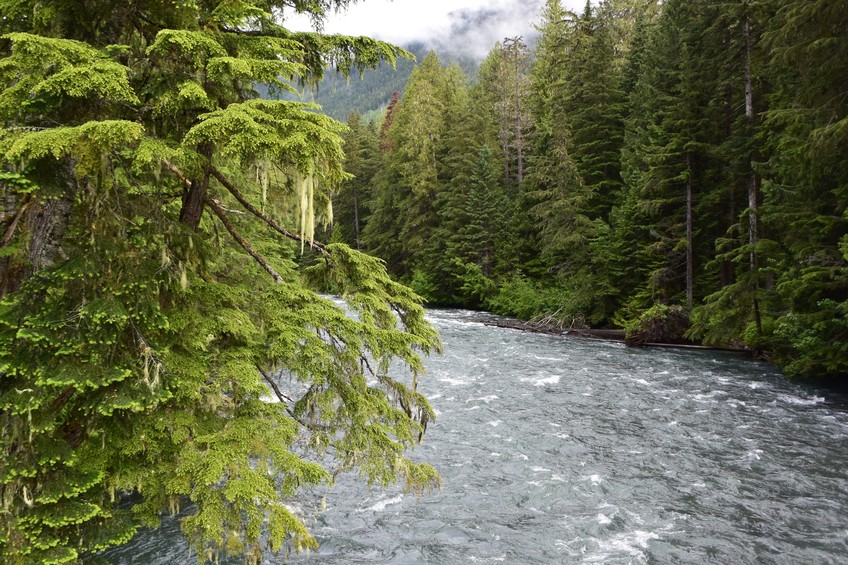 The Cheakmus river - start of the climb 