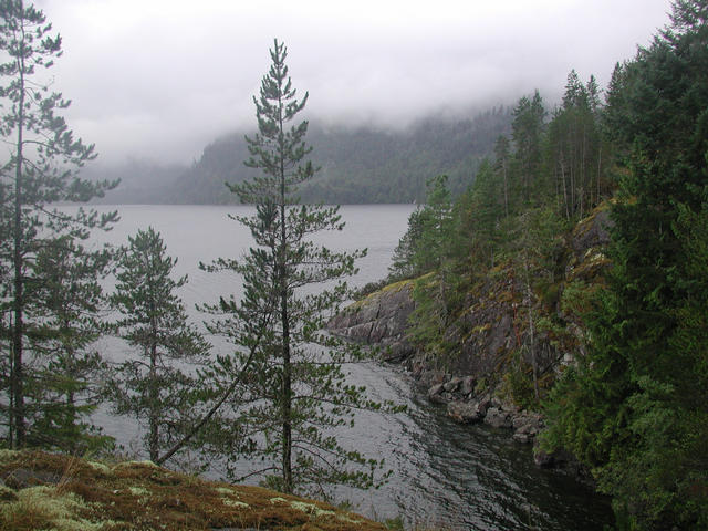 the surrounding area, taken from a clearing about 30 meters from the confluence.