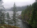 #5: the surrounding area, taken from a clearing about 30 meters from the confluence.