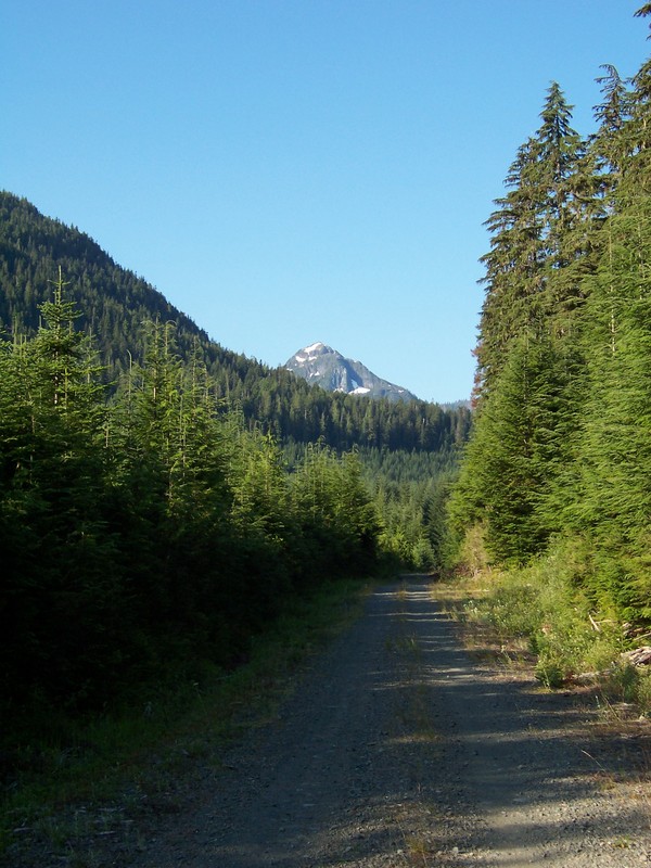 view on Menzies Main by junction with MM1400