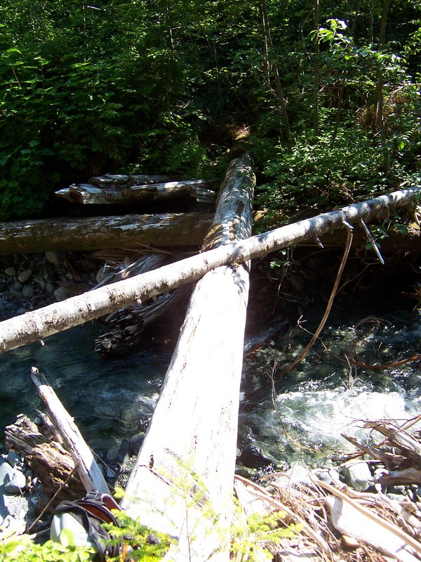 where the trail crosses a tributary of the Gold River