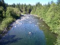 #2: Salmon River