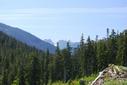 #7: view into Strathcona Park, from the end of the road