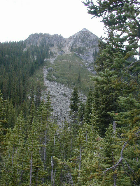 Looking upstream and uphill from the confluence