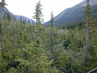 #1: Looking downstream from the confluence