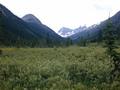 #4: The view toward the confluence, from 2 km away, in a swamp; the point is around a corner to the L