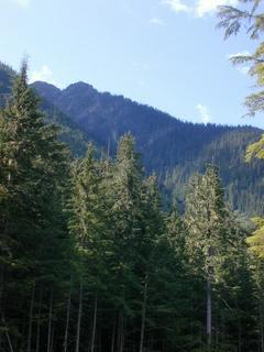 #1: looking up the mountain toward the confluence