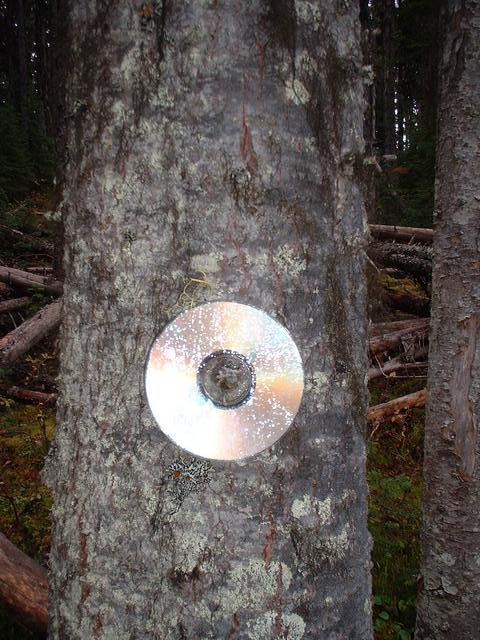 CD that the previous visitor (Camille B. Villeneuve) left behind.