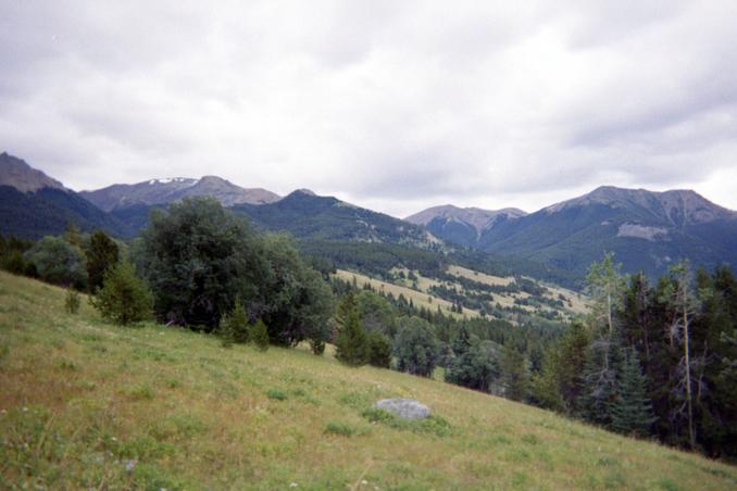 The view East from the confluence point