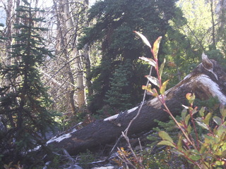 #1: Up close at the Confluence looking SW