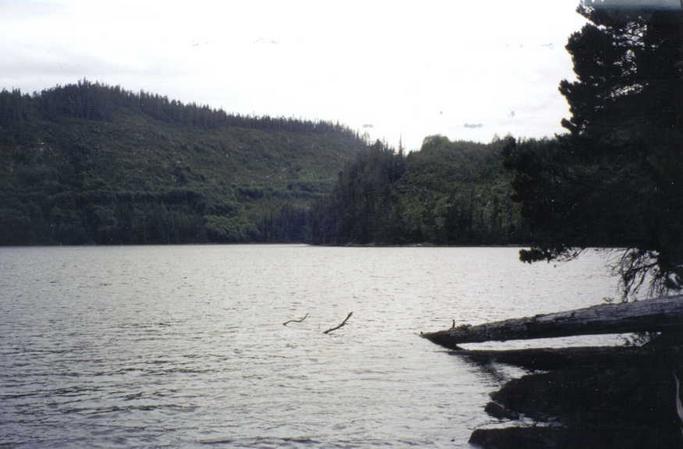 West view of Site