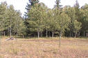 #2: View from road - confluence is 360m East