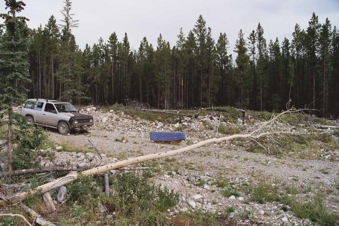 The Pathfinder, the winch, and the tree