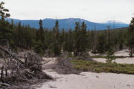 #4: Very sandy area between highway and confluence